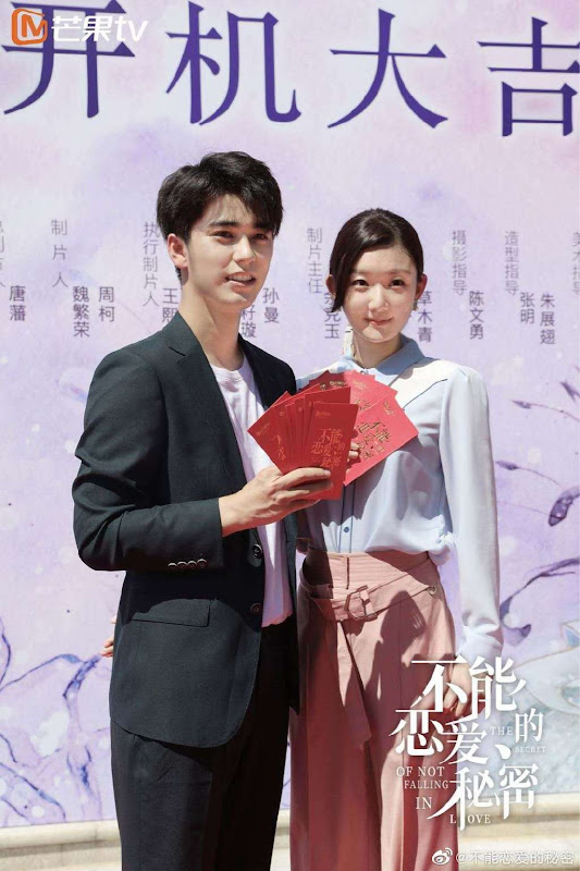 The Secret of Love / The Secret of Not Falling in Love China Web Drama